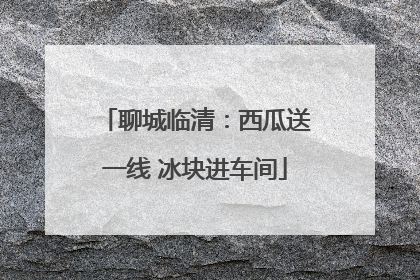 聊城临清：西瓜送一线 冰块进车间