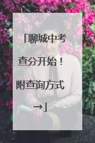 聊城中考查分开始！附查询方式→
