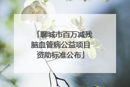 聊城市百万减残脑血管病公益项目资助标准公布