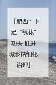 肥西：下足“绣花”功夫 推进城乡精细化治理