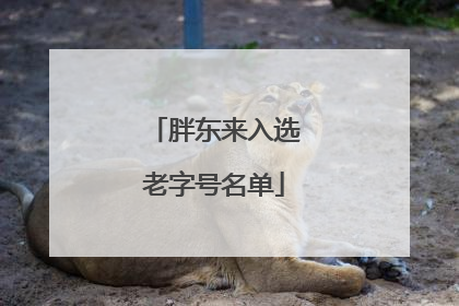 胖东来入选老字号名单