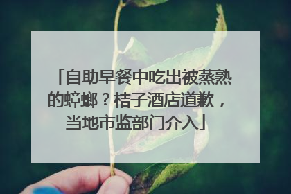 自助早餐中吃出被蒸熟的蟑螂？桔子酒店道歉，当地市监部门介入