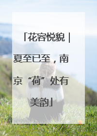 花容悦貌｜夏至已至，南京“荷”处有美韵