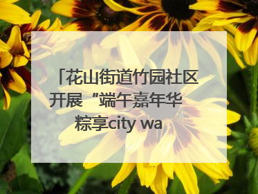 花山街道竹园社区开展“端午嘉年华 粽享city walk”主题活动