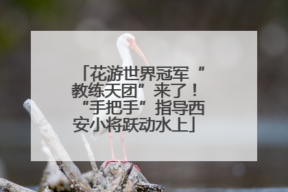 花游世界冠军“教练天团”来了！“手把手”指导西安小将跃动水上