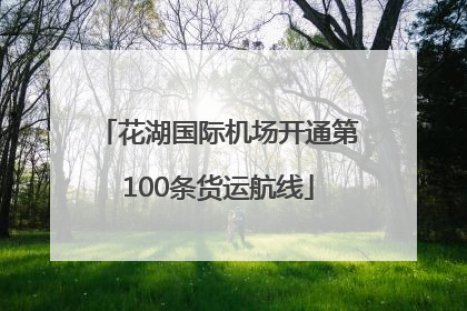 花湖国际机场开通第100条货运航线