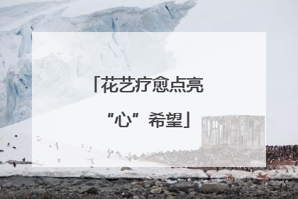 花艺疗愈点亮“心”希望