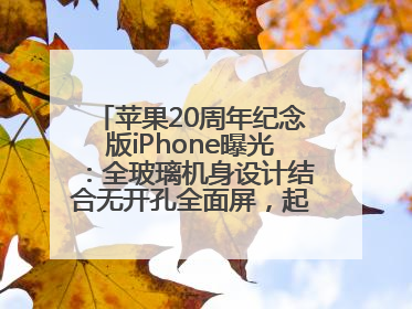 苹果20周年纪念版iPhone曝光：全玻璃机身设计结合无开孔全面屏，起售价或达1.45万人民币