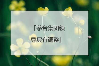 茅台集团领导层有调整