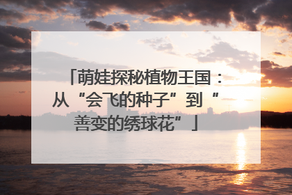 萌娃探秘植物王国：从“会飞的种子”到“善变的绣球花”