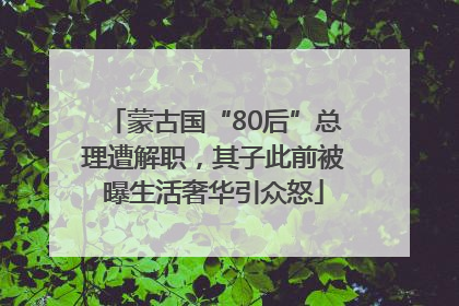 蒙古国“80后”总理遭解职，其子此前被曝生活奢华引众怒