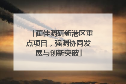 蔺佳调研新港区重点项目，强调协同发展与创新突破