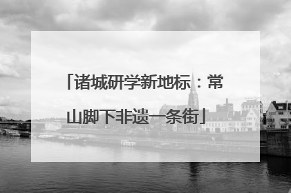 诸城研学新地标：常山脚下非遗一条街