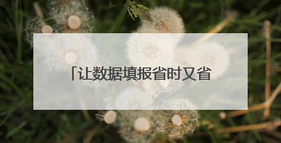 让数据填报省时又省力 禹城全面推进“企业数据填报一件事”