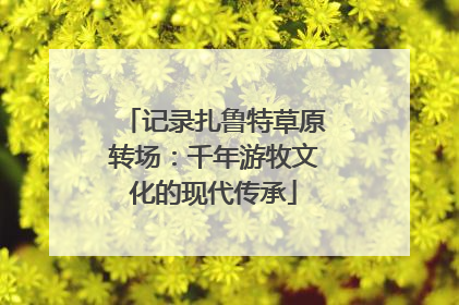 记录扎鲁特草原转场：千年游牧文化的现代传承