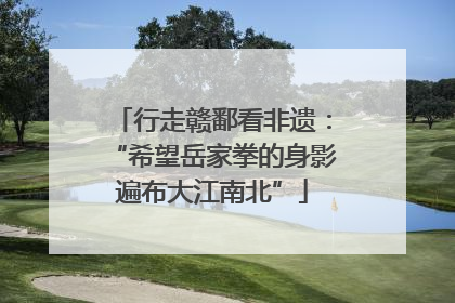 行走赣鄱看非遗：“希望岳家拳的身影遍布大江南北”
