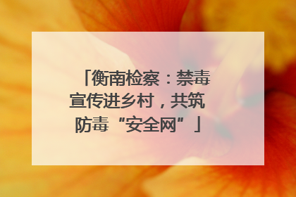 衡南检察：禁毒宣传进乡村，共筑防毒“安全网”