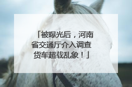 被曝光后，河南省交通厅介入调查货车超载乱象！