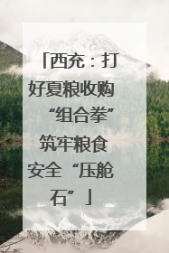 西充：打好夏粮收购“组合拳” 筑牢粮食安全“压舱石”