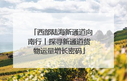 西部陆海新通道向南行丨探寻新通道货物运量增长密码