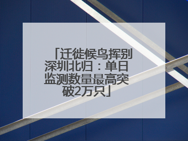 迁徙候鸟挥别深圳北归：单日监测数量最高突破2万只