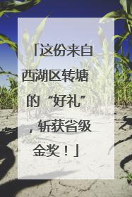 这份来自西湖区转塘的“好礼”，斩获省级金奖！