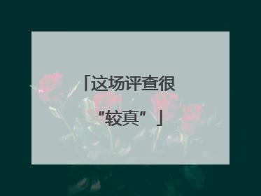 这场评查很“较真”