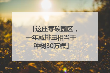 这座零碳园区，一年减排量相当于种树30万棵