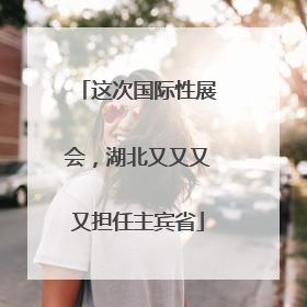 这次国际性展会，湖北又又又又担任主宾省