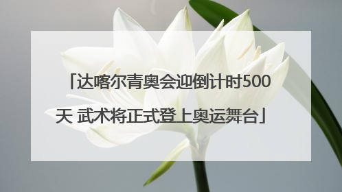 达喀尔青奥会迎倒计时500天 武术将正式登上奥运舞台