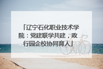 辽宁石化职业技术学院：党建联学共建，政行园企校协同育人