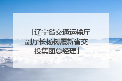 辽宁省交通运输厅副厅长杨树履新省交投集团总经理