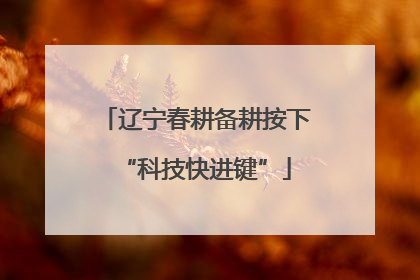 辽宁春耕备耕按下“科技快进键”