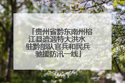 贵州省黔东南州榕江县遭遇特大洪水 驻黔部队官兵和民兵驰援防汛一线