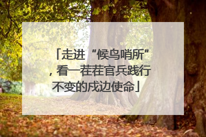 走进“候鸟哨所”，看一茬茬官兵践行不变的戍边使命