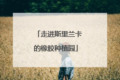 走进斯里兰卡的橡胶种植园