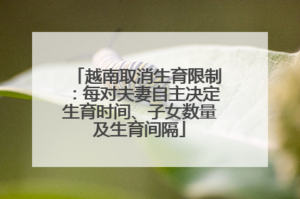 越南取消生育限制：每对夫妻自主决定生育时间、子女数量及生育间隔