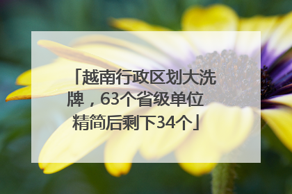 越南行政区划大洗牌，63个省级单位精简后剩下34个