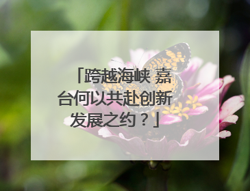 跨越海峡 嘉台何以共赴创新发展之约？