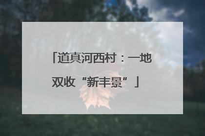 道真河西村：一地双收“新丰景”