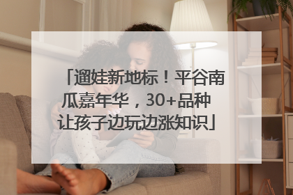 遛娃新地标！平谷南瓜嘉年华，30+品种让孩子边玩边涨知识
