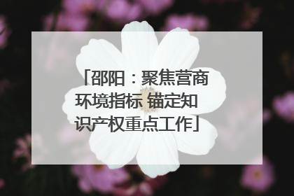 邵阳：聚焦营商环境指标 锚定知识产权重点工作