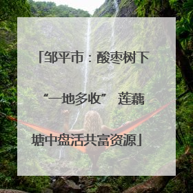 邹平市：酸枣树下“一地多收” 莲藕塘中盘活共富资源