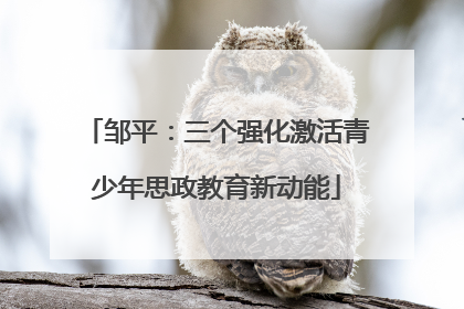 邹平：三个强化激活青少年思政教育新动能