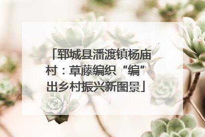 郓城县潘渡镇杨庙村：草藤编织“编”出乡村振兴新图景