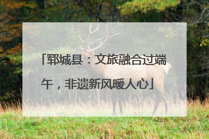 郓城县：文旅融合过端午，非遗新风暖人心