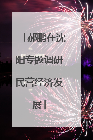 郝鹏在沈阳专题调研民营经济发展