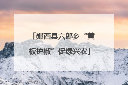 郧西县六郎乡“黄板护椒”促绿兴农