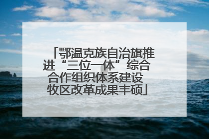 鄂温克族自治旗推进“三位一体”综合合作组织体系建设 牧区改革成果丰硕