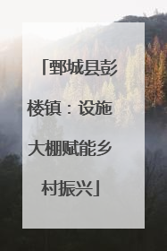 鄄城县彭楼镇：设施大棚赋能乡村振兴